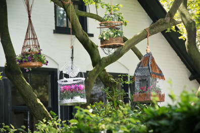 Vogelkooitje als hangende bloembak