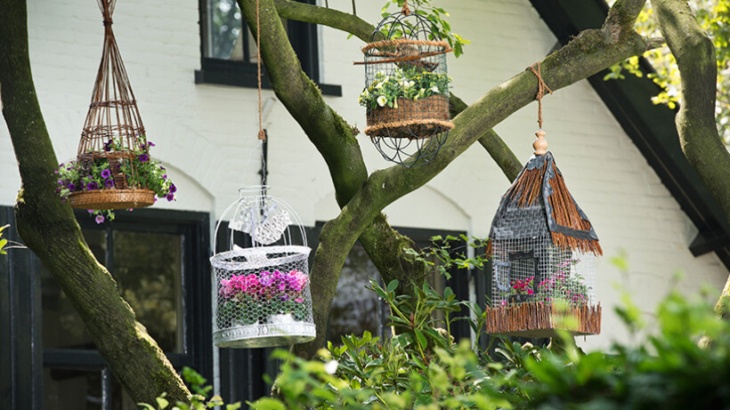 Vogelkooitje als hangende bloembak