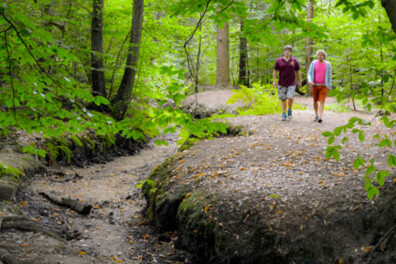 Mooiste wandeling van 2015: Hof van Espelo