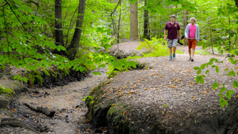 Mooiste wandeling van 2015: Hof van Espelo