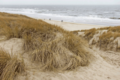 Wandeling van de maand: Groene Wissel Castricum