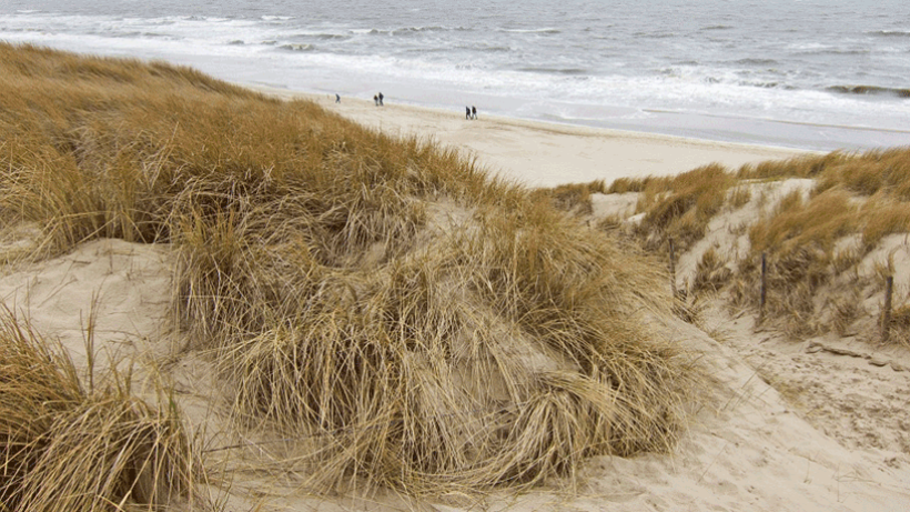 Wandeling van de maand: Groene Wissel Castricum