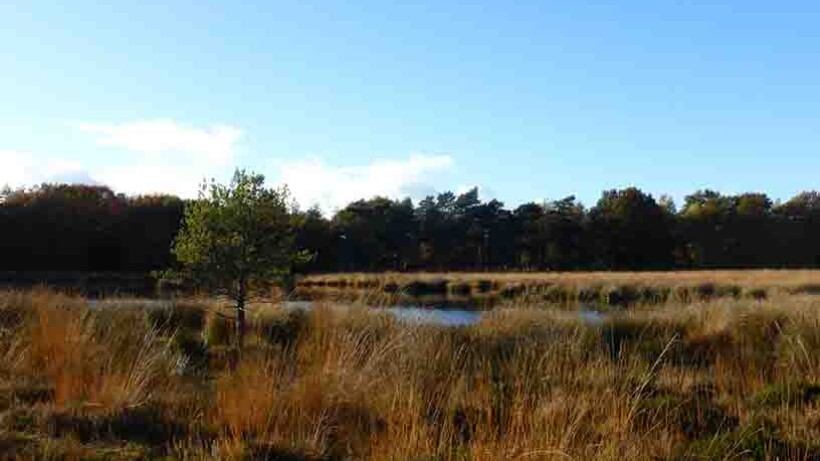 Wandeling van de maand Orvelte