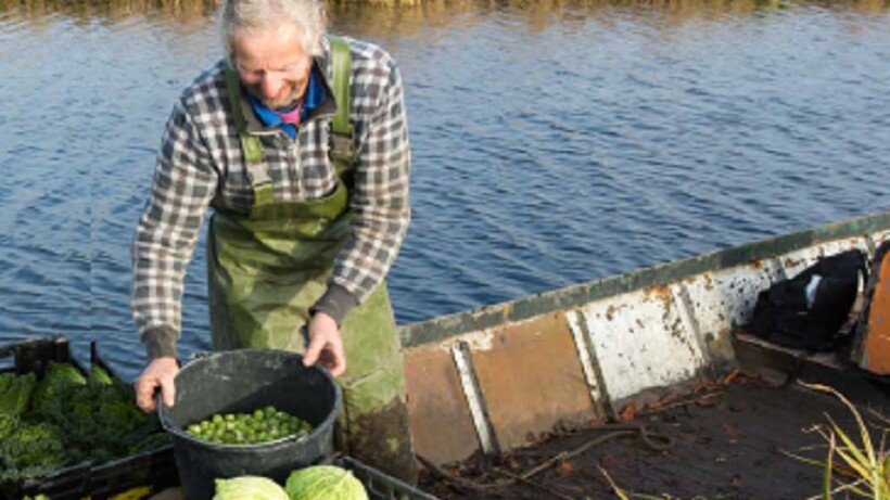 Tuinder in de Oosterdel