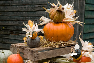 Kip van natuurlijke herfstmaterialen