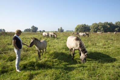 Trots op het Rijk van Nijmegen