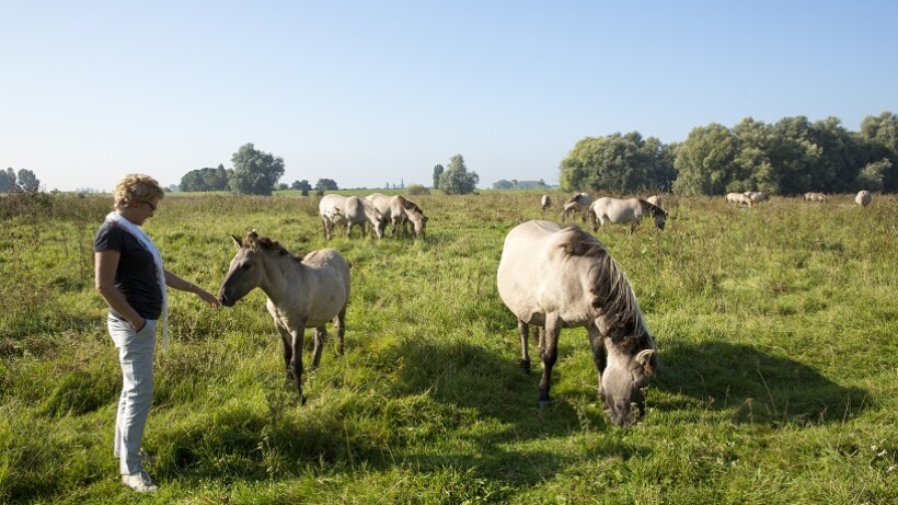 Trots op het Rijk van Nijmegen