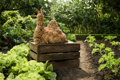 Slak in de moestuin