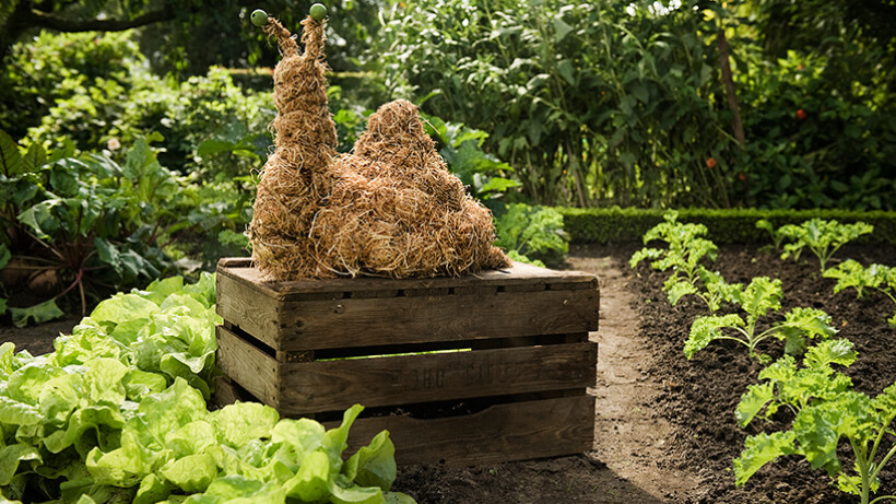 Slak in de moestuin