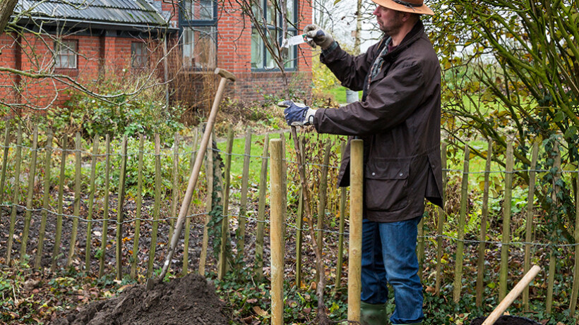 Tips voor plantgaten