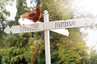 Wegwijs op je erf met de Landleven tuinwegwijzer