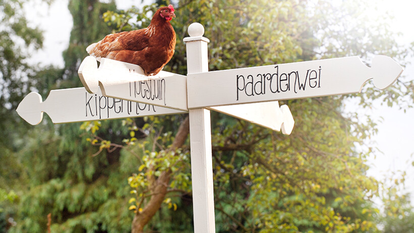 Wegwijs op je erf met de Landleven tuinwegwijzer