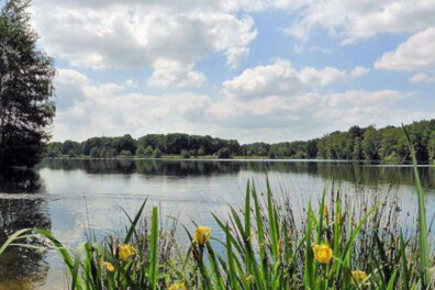 Wandeling van de maand: Trage Tocht Waalwijk