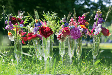 Zomerfeestschikking in champagneglazen