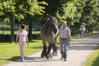 Trots op… Midden-Limburg