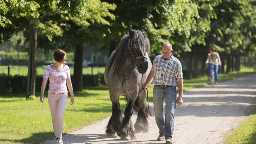 Trots op… Midden-Limburg