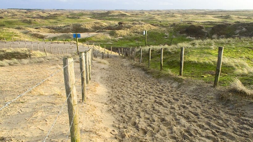 Wandeling van de maand: Zandvoort