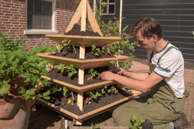 Maak een aardbeienpiramide