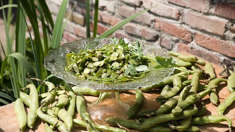 Groene bonensalade