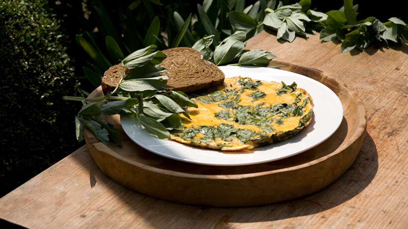 Omelet met toppen van tuinbonen