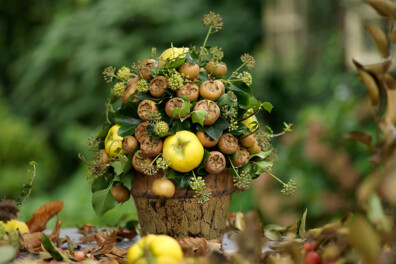 Schikking met herfstfruit