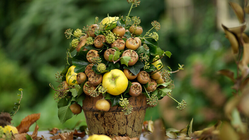 Schikking met herfstfruit