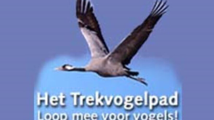 Minder maar wel bijzondere vogels waargenomen