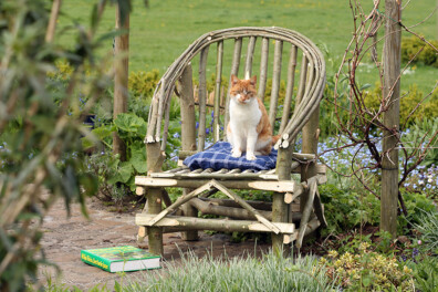 Wilgentenen tuinstoel zelf maken