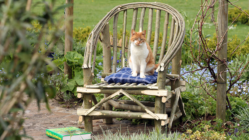 Wilgentenen tuinstoel zelf maken