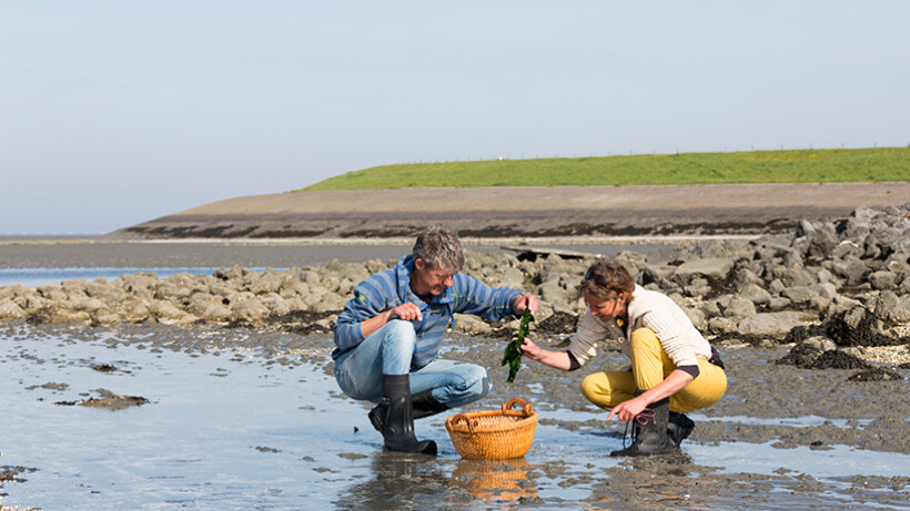 Groeten uit Tholen