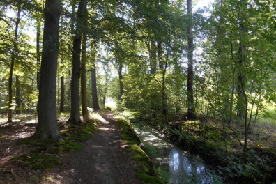 Wandeling van de maand: Ommen