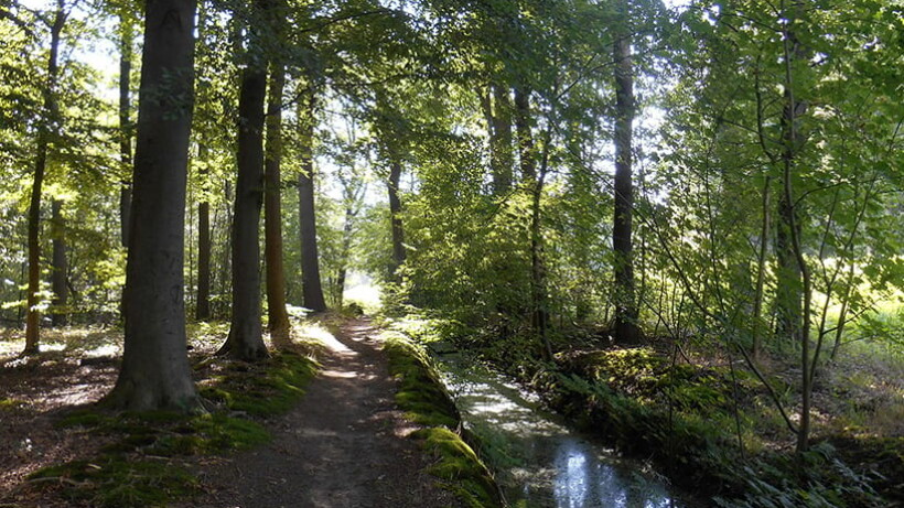 Wandeling van de maand: Ommen