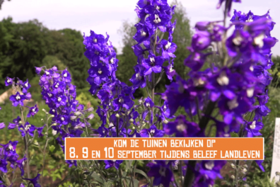 De tuinen van het Nederlands Openluchtmuseum