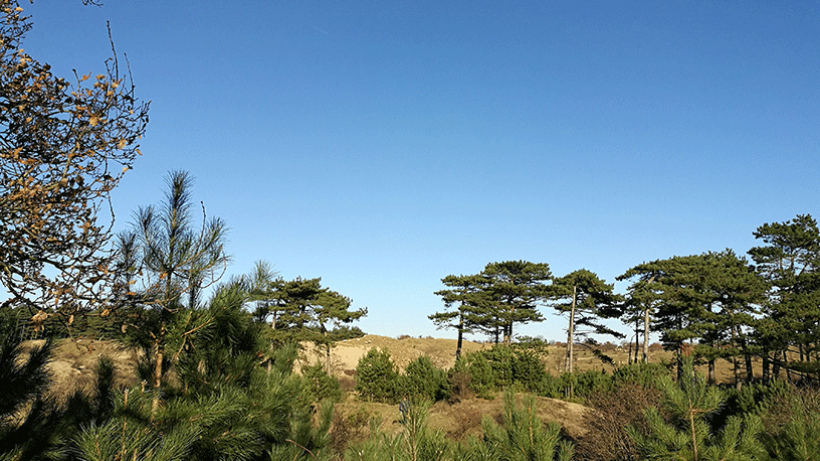 Wandeling van de maand: Santpoort