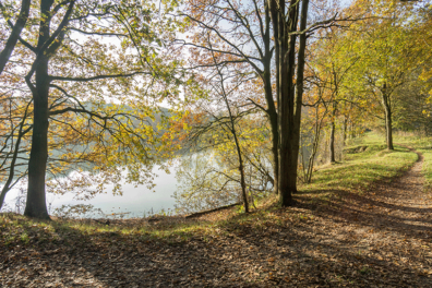 Wandeling van de maand: Hulst