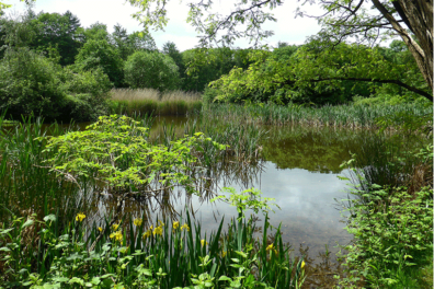 Wandeling van de maand: Arnhem