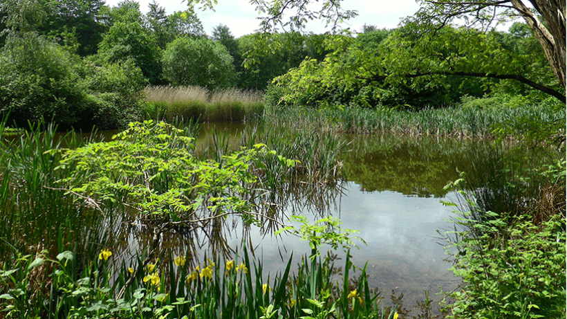 Wandeling van de maand: Arnhem