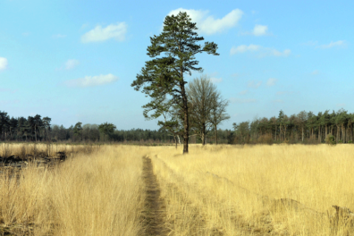 Wandeling van de maand Noord-Brabant