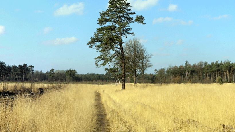 Wandeling van de maand Noord-Brabant