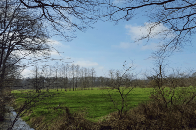 Wandeling van de maand: Beetsterzwaag