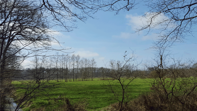 Wandeling van de maand: Beetsterzwaag