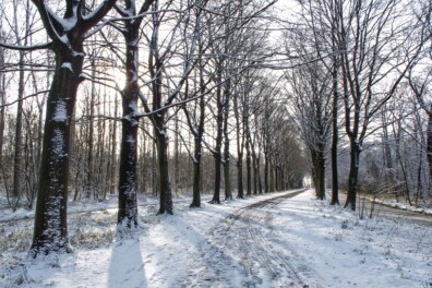 Wandeling van de maand: Voorschoten