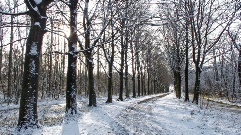 Wandeling van de maand: Voorschoten