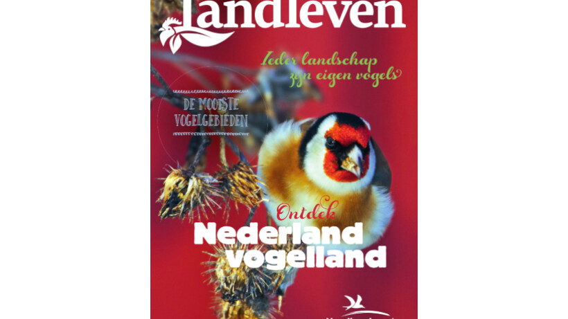 Special Nederland vogelland