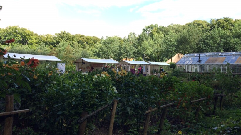 Tips van de tuinman van het Openluchtmuseum