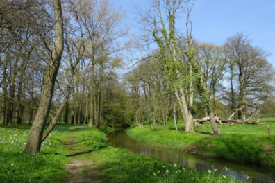 Wandeling van de maand: Vorden