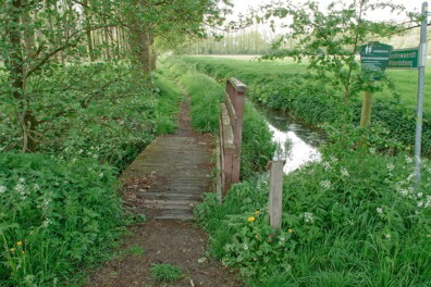 Wandeling van de maand: Mariënwaerdt