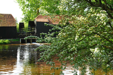 Fietsroute van de maand: watermolens langs de Dommel