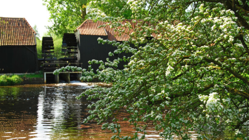 Fietsroute van de maand: watermolens langs de Dommel