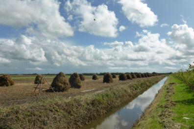 Wandelen over Walcheren: Trage Tocht Zoutelande